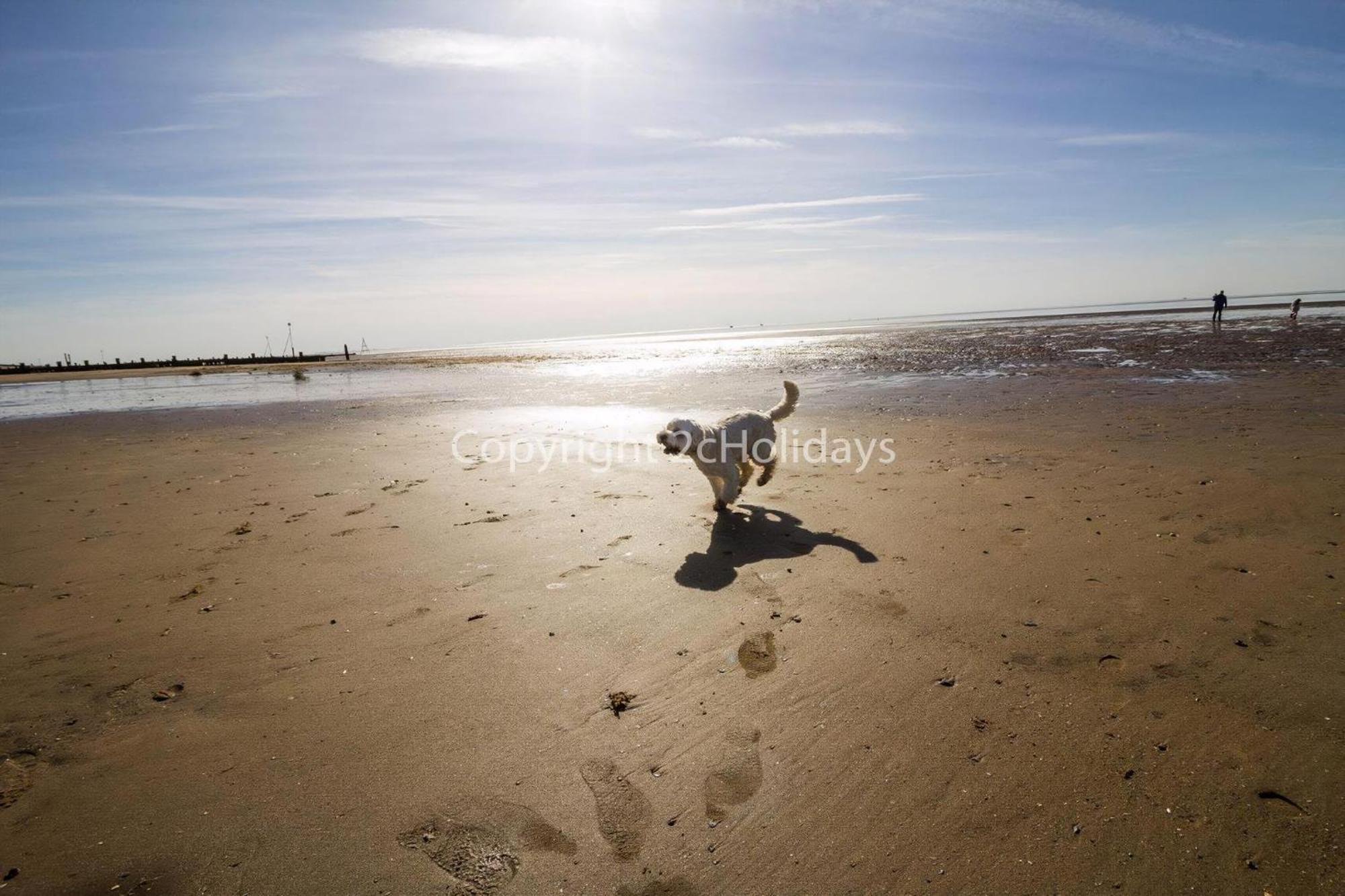 6 Berth Caravan By The Beach In Hunstanton In Norfolk, Pets Welcome Ref 13009L المظهر الخارجي الصورة